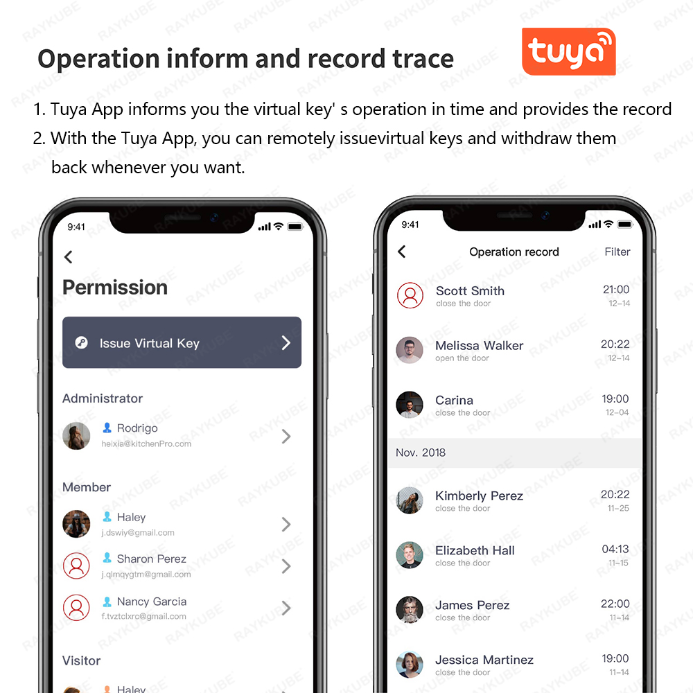 RAYKUBE A1 Pro Tuya BEL スマートドア - Woodworking App のレビューと価格